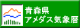 �X���A���_�X�C�ۗ�